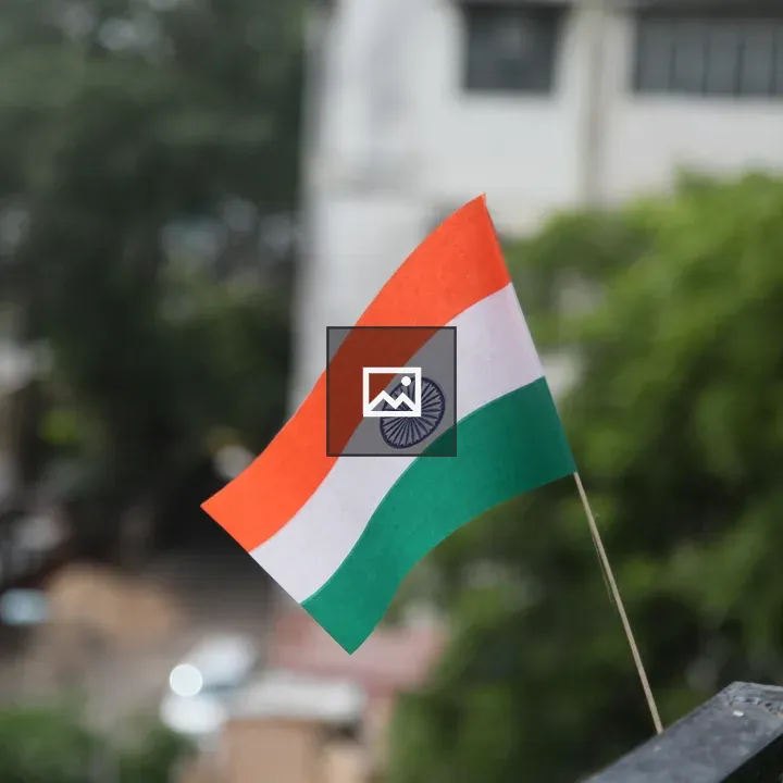 Indian Flag