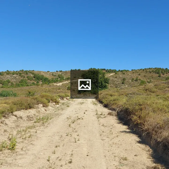 Dirt Path through Dry Landscape