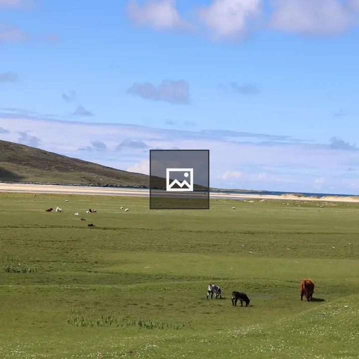 Grazing cows and sheep by the beach