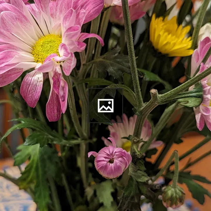 Close up of flowers in a mason jar