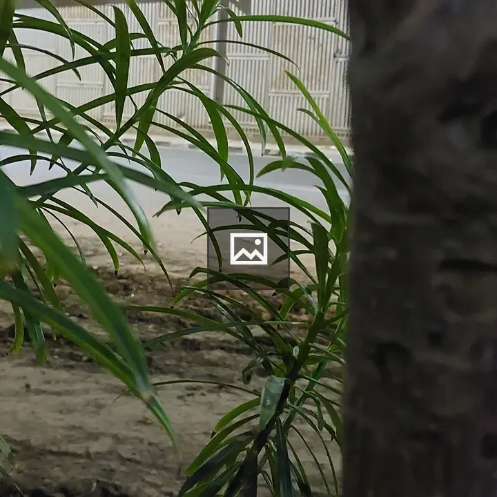 Nature grass and trees