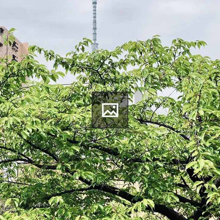 Tokyo Sky Tree with Foliage