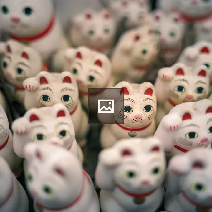 Maneki-neko Figures on Train