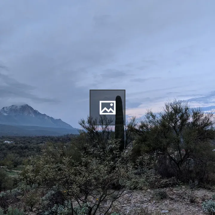 Cacti in the Desert at Sunrise