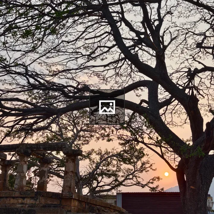 Sunset with tree silhouette and ruins