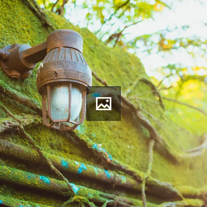 Light fixture on a mossy wall