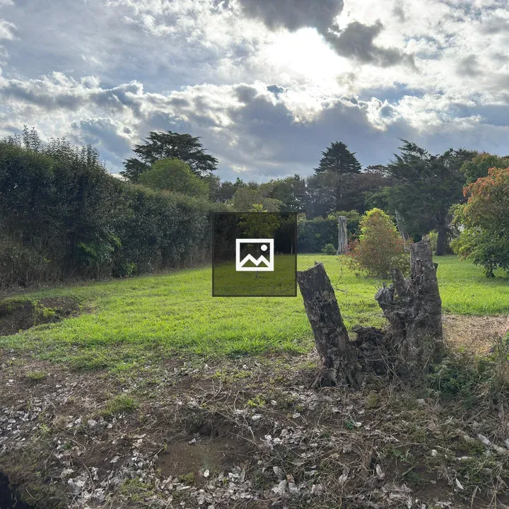 Grassy field with trees and stump