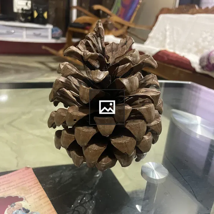 Pine cone on glass table