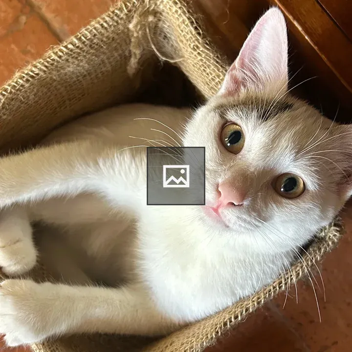 White Kitten in Burlap Sack