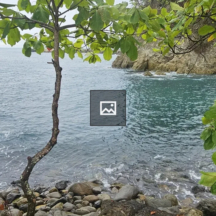 Quepos Beach Rocks and Tree