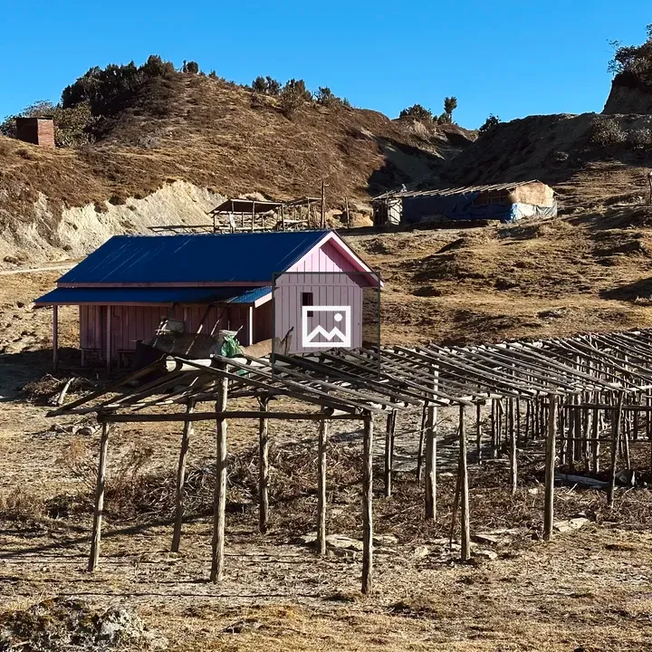 Pink house with blue roof