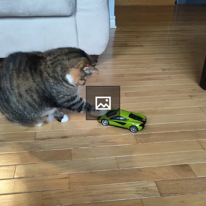 Cat Reaching Toward RC Car