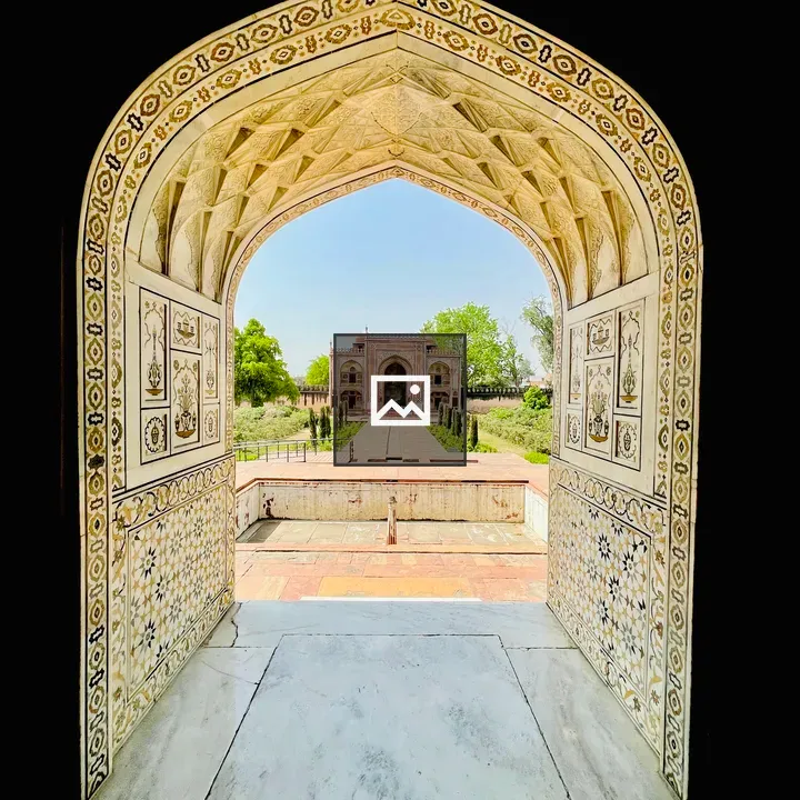 Itmad-ud-Daula Tomb Bees