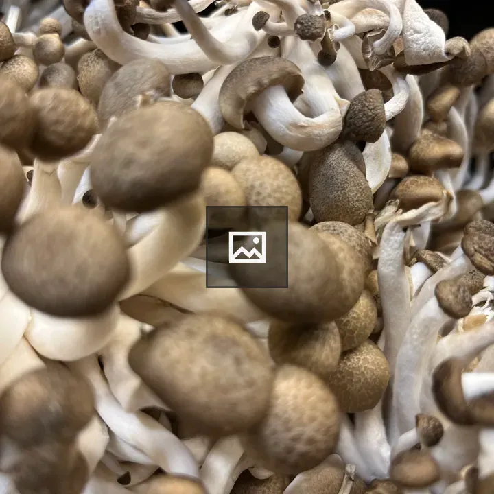 Mushrooms on Plate