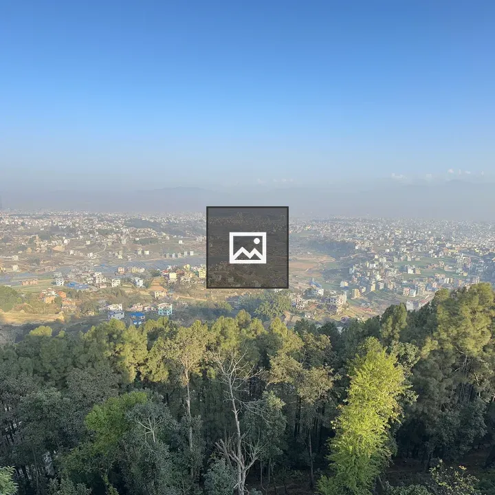 Dense forest view toward distant city