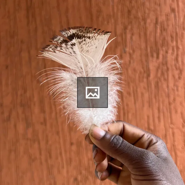 Feather held by hand