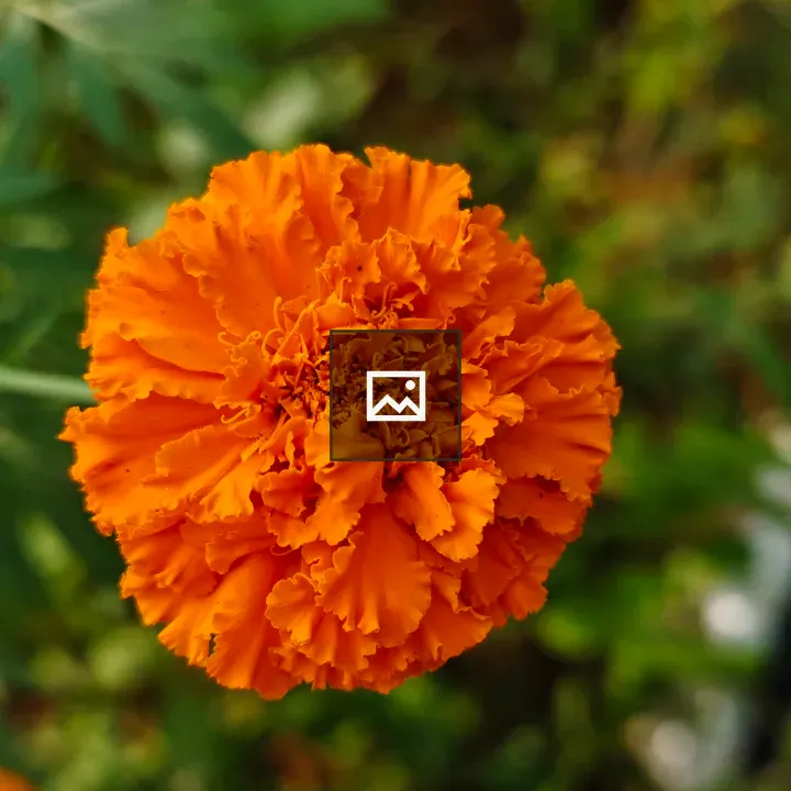 Orange Chetti Flowers
