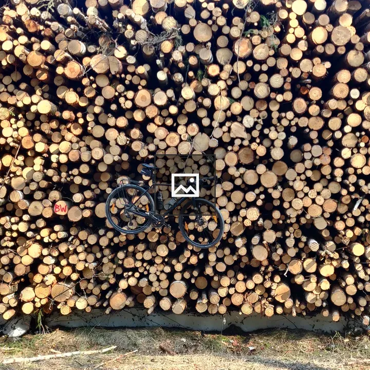 Bicycle Against Pile of Downed Trees