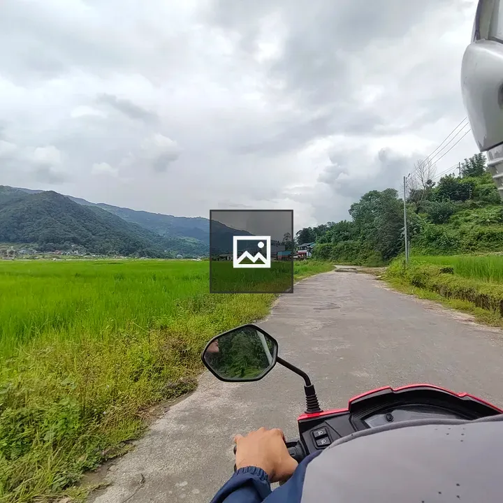 Person riding scooter through rice fields