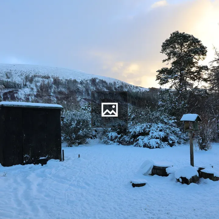 Garden under snow in Scotland