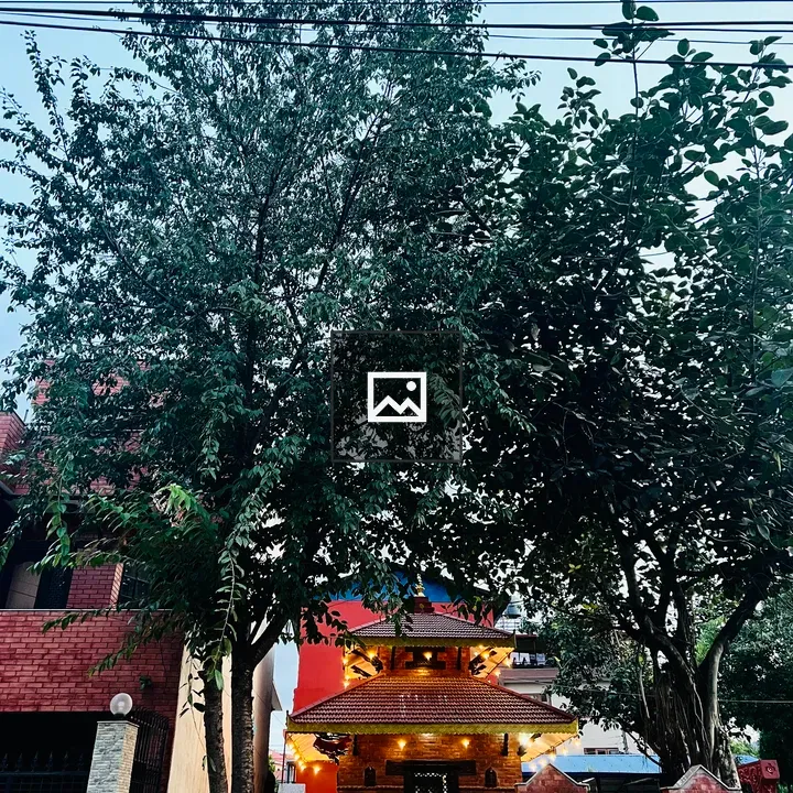 Temple Between Trees