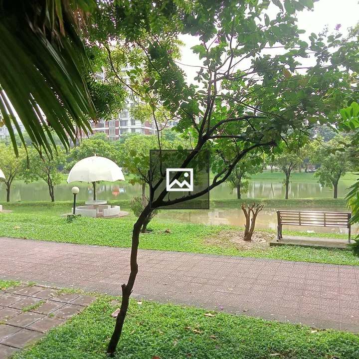 Park Pathway with Palm Trees