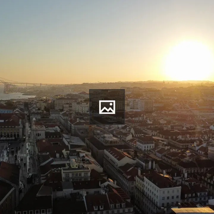 Aerial view of downtown Lisbon