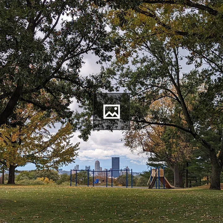 Fall Trees with Playground and Skyline