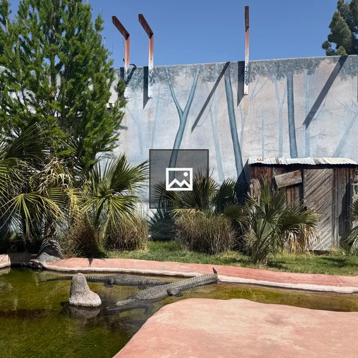 Pond with Tropical Plants