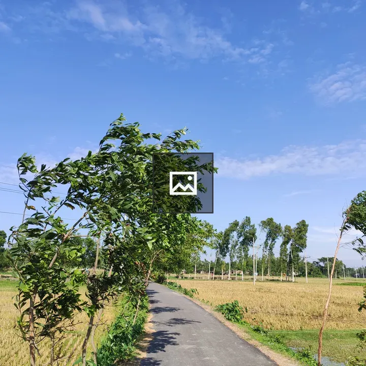 Narrow paved road through fields