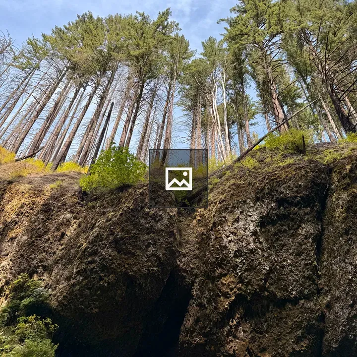 Steep mossy cliff in Oregon