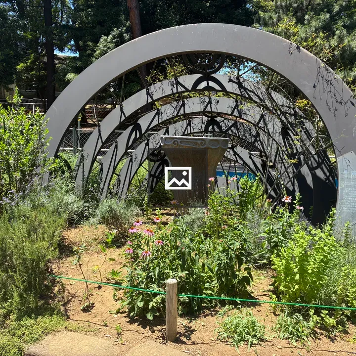 Garden Arch at Chiba Park