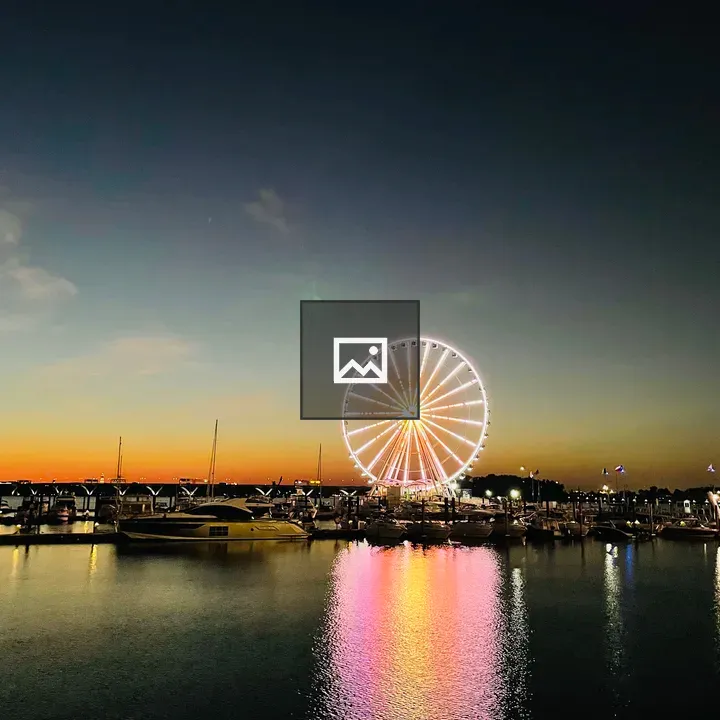 Night ferris wheel at National Harbor