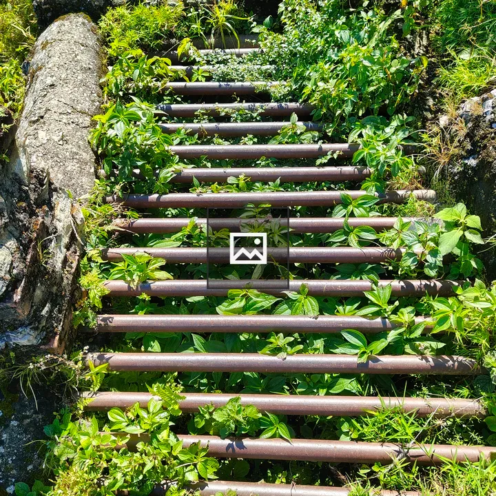 Rusty grate with green growth