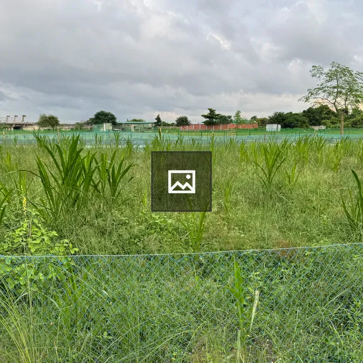 Green Field with Fence and Buildings