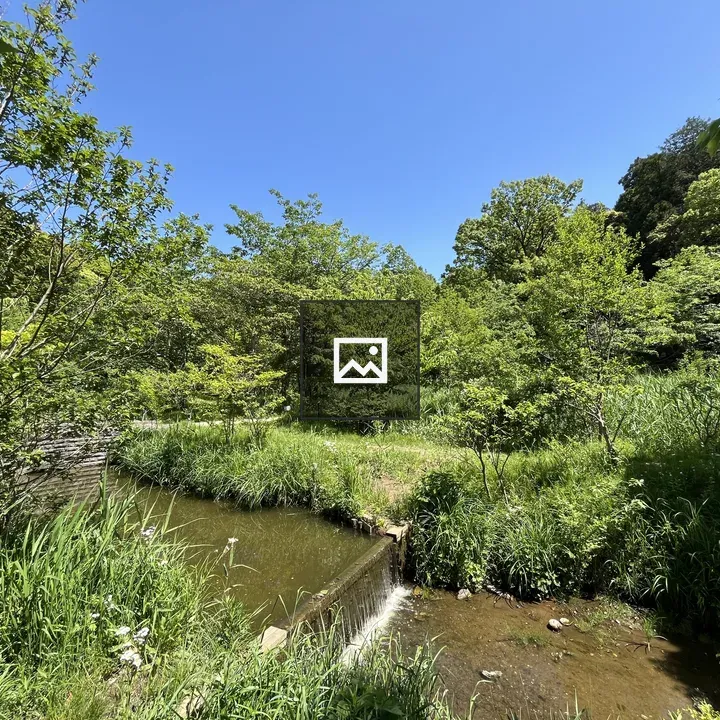 Lush Green Landscape with Stream