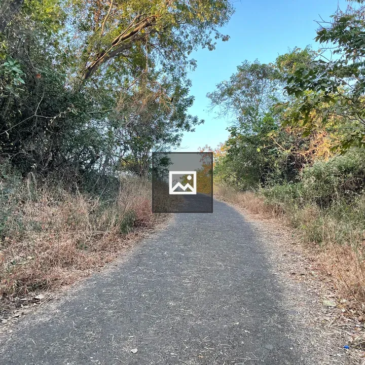 Road through jungle landscape