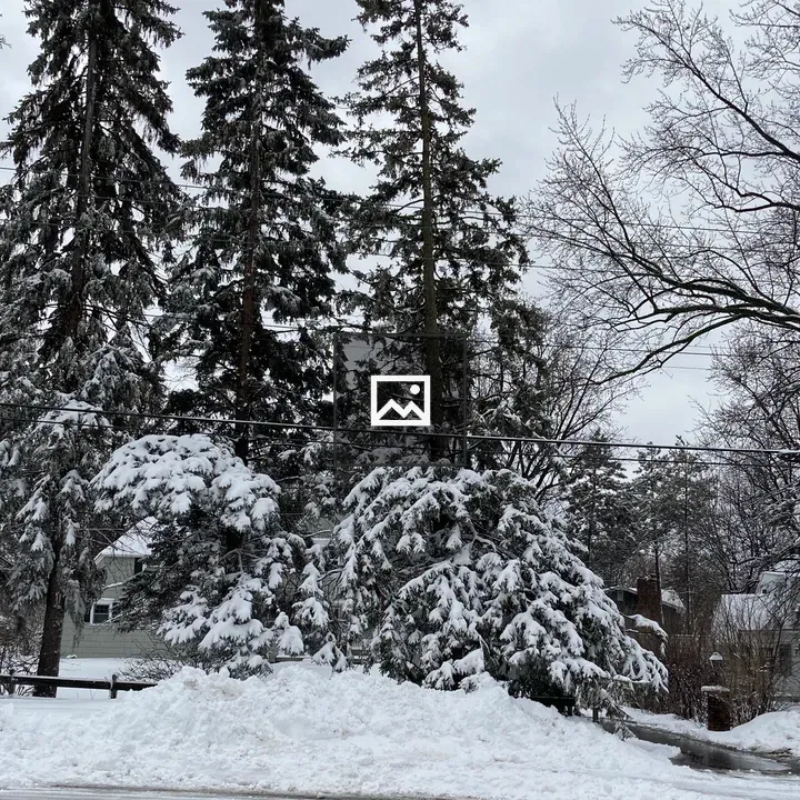 Snowy street view with trees
