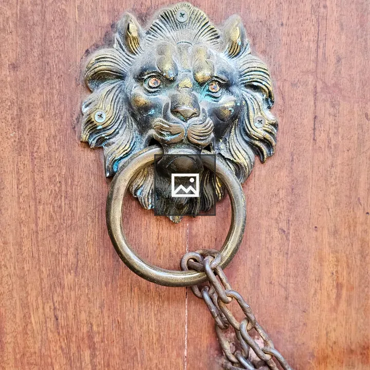 Lion-shaped door knocker