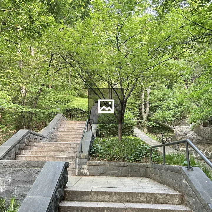 Stone Steps in Green Forest