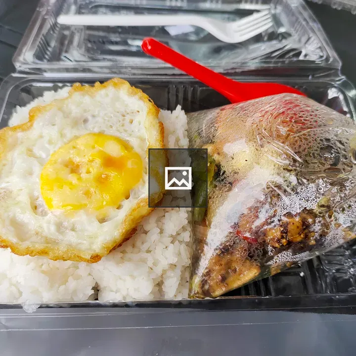 Rice and Egg in Plastic Container