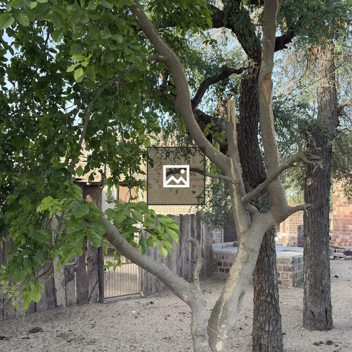 Tree with Twisting Branches