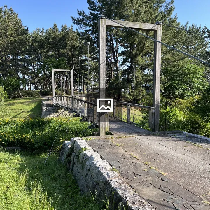 Wooden bridge between roads