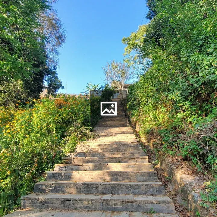 Stone staircase with two trees