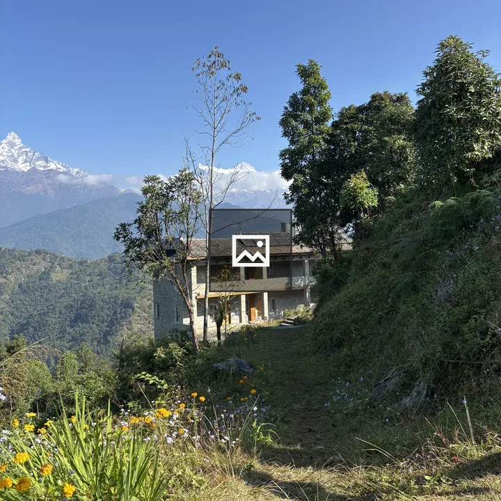 Stone building among trees