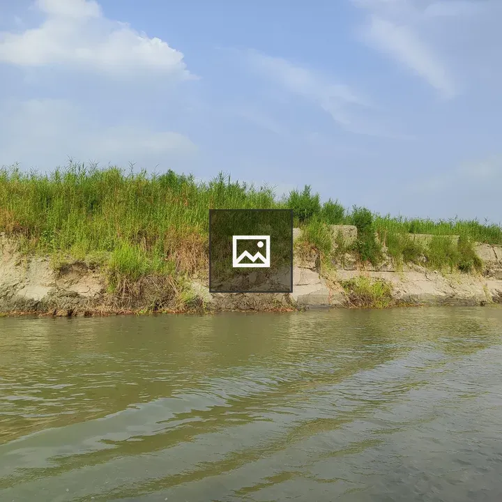 Riverbank with Vegetation