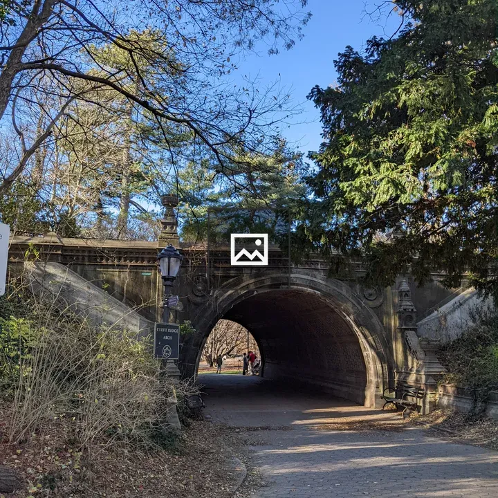 An arch bridge in Prospect Park