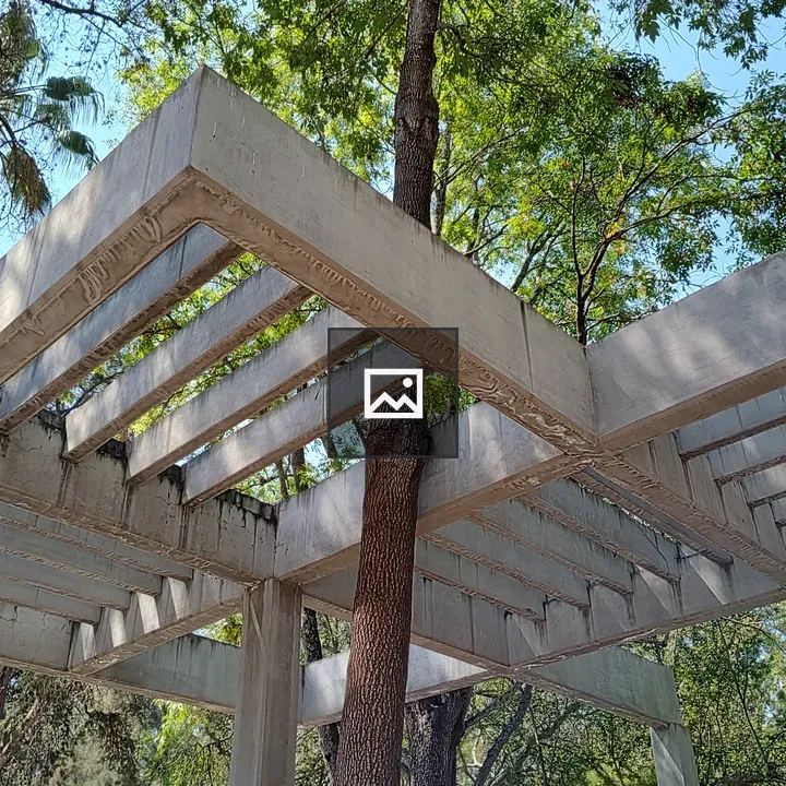 Concrete Pergola With Tree
