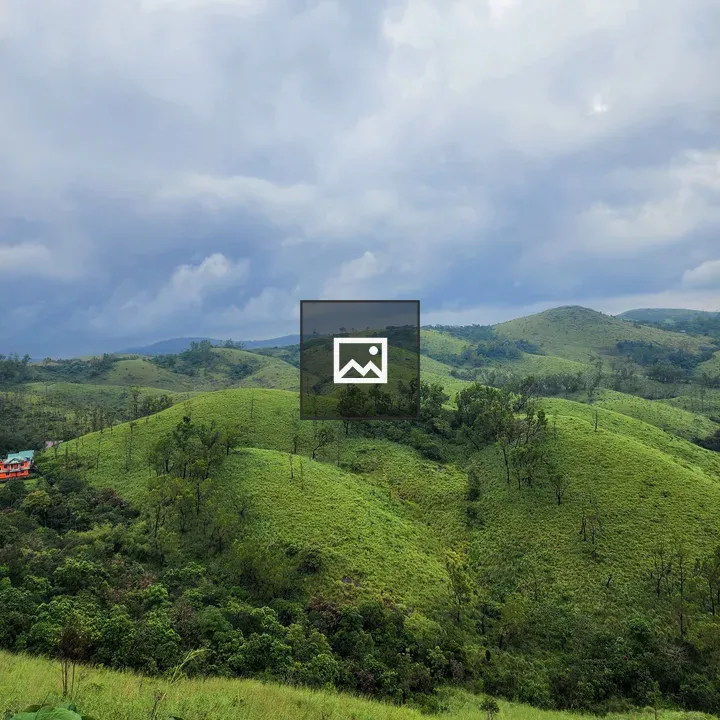 Vagamon Meadows Scene