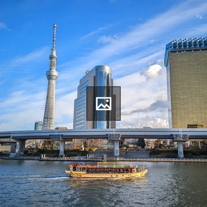 Ferry with Tokyo Skytree in Background